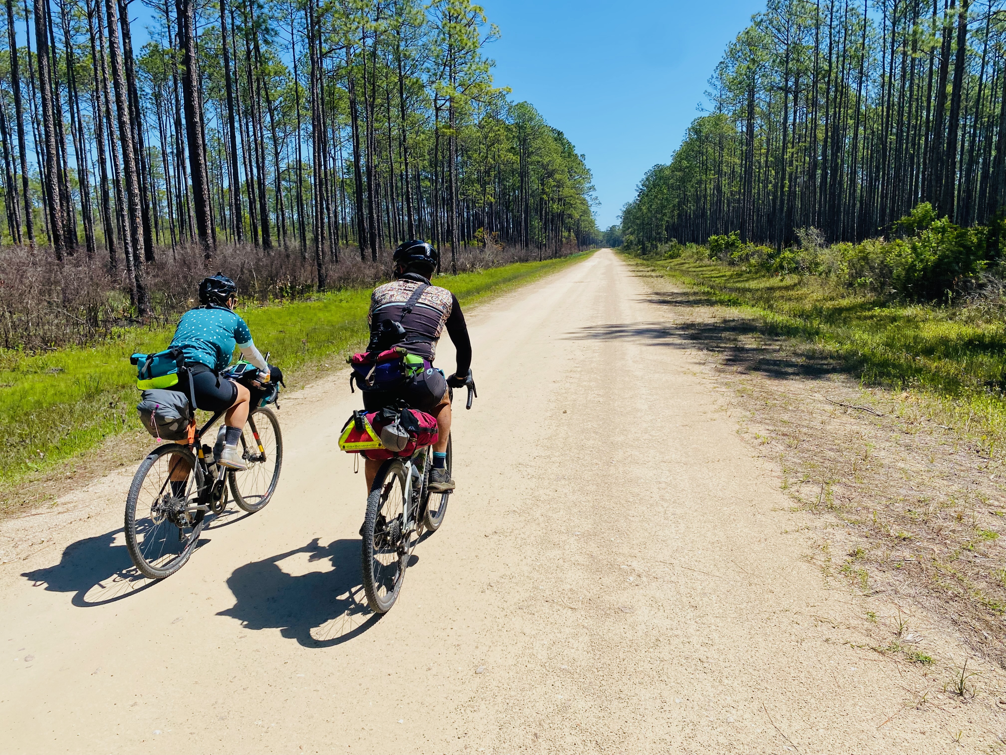 Bicycle Tours curated and led by the Samurai  thumbnail