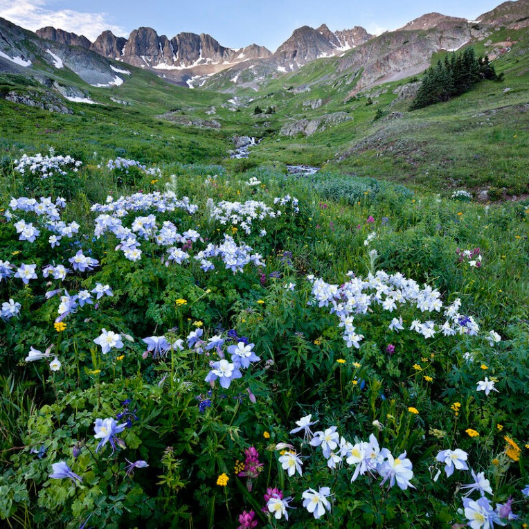 COLORADO NEWSLINE thumbnail