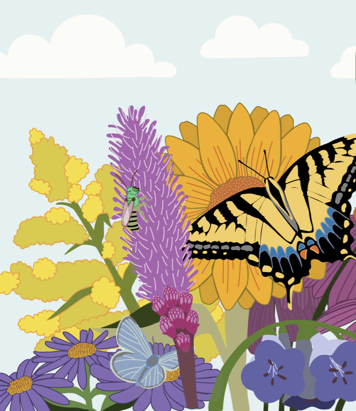 Bug Banter thumbnail