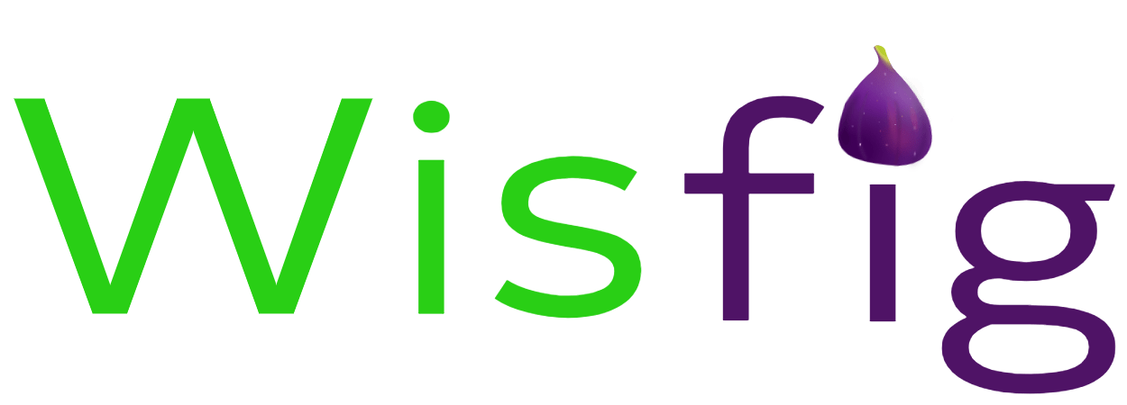 Web Design & SEO In Rocklin, CA - Wisfig thumbnail