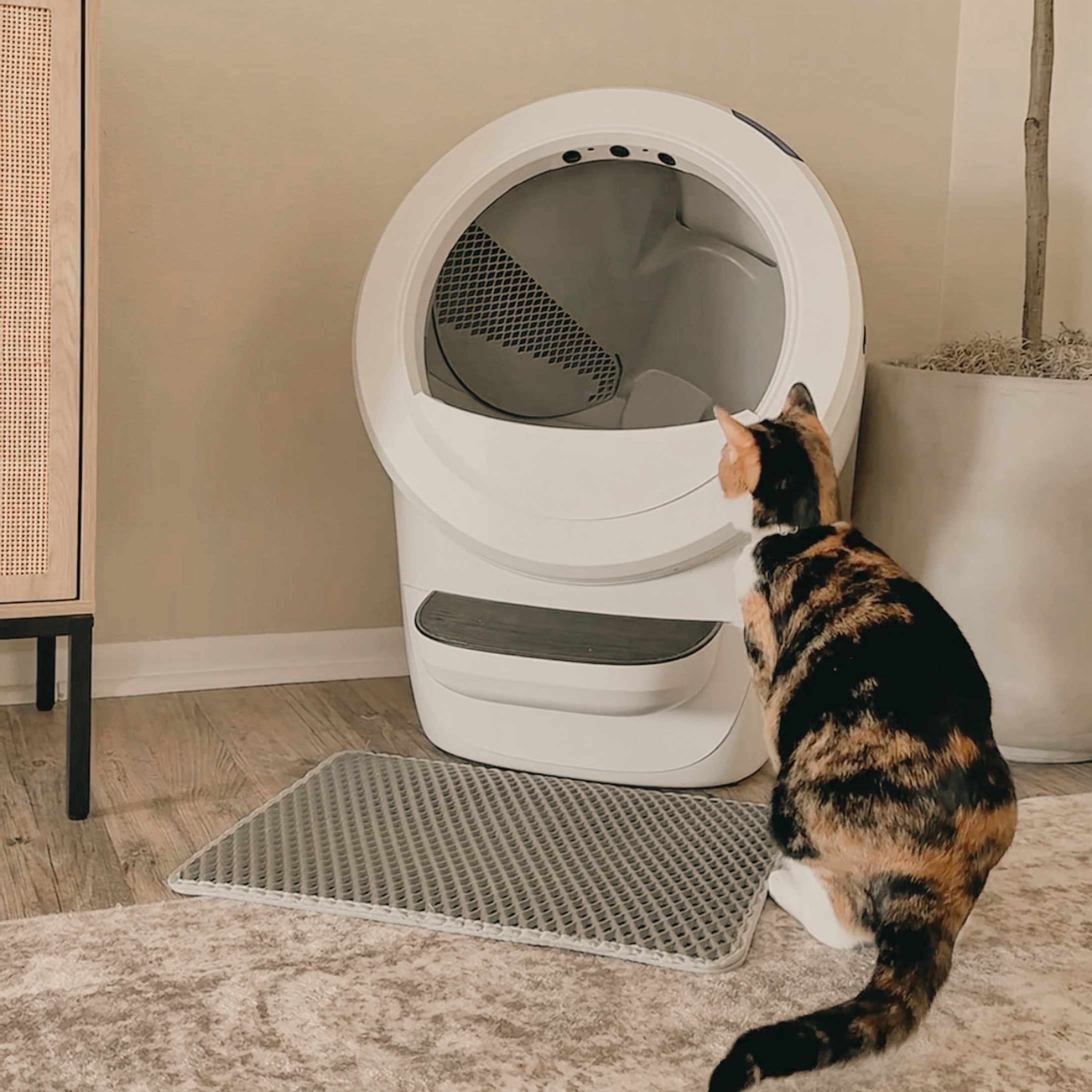 Litter-Robot 4 thumbnail
