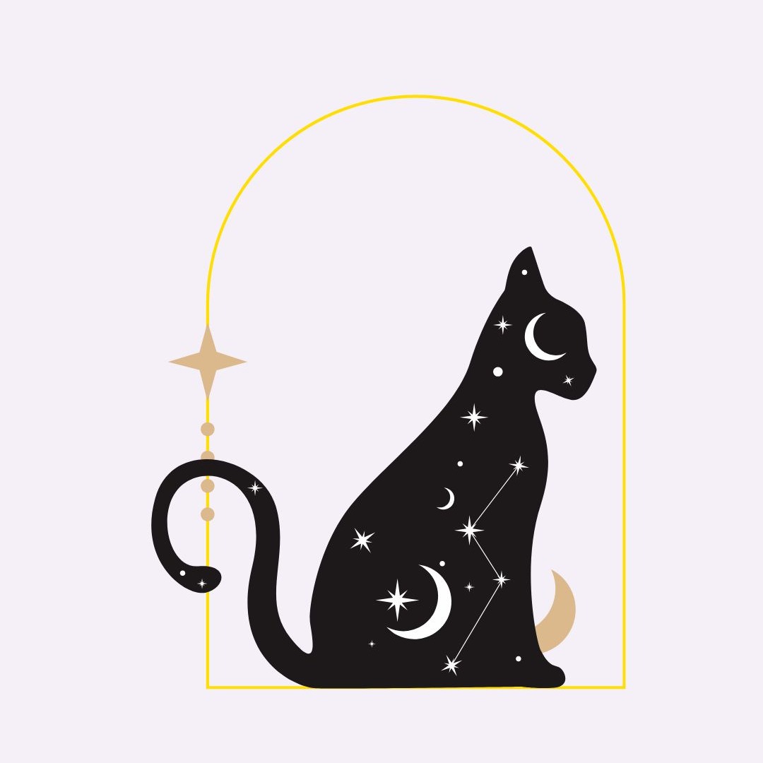 La Communauté Magic'Oracles thumbnail