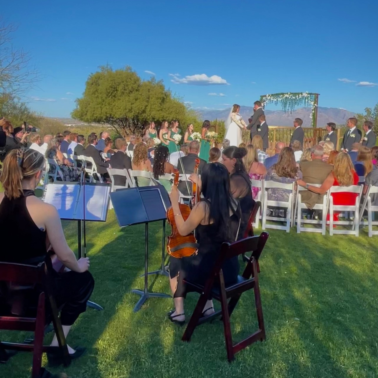 Check Availabilty thumbnail