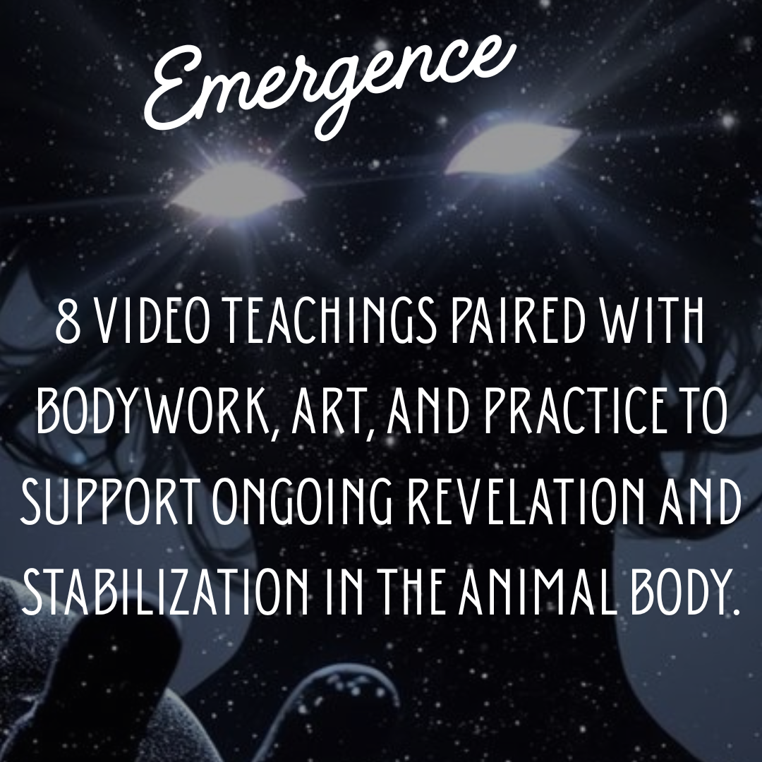 Emergence Bundle thumbnail