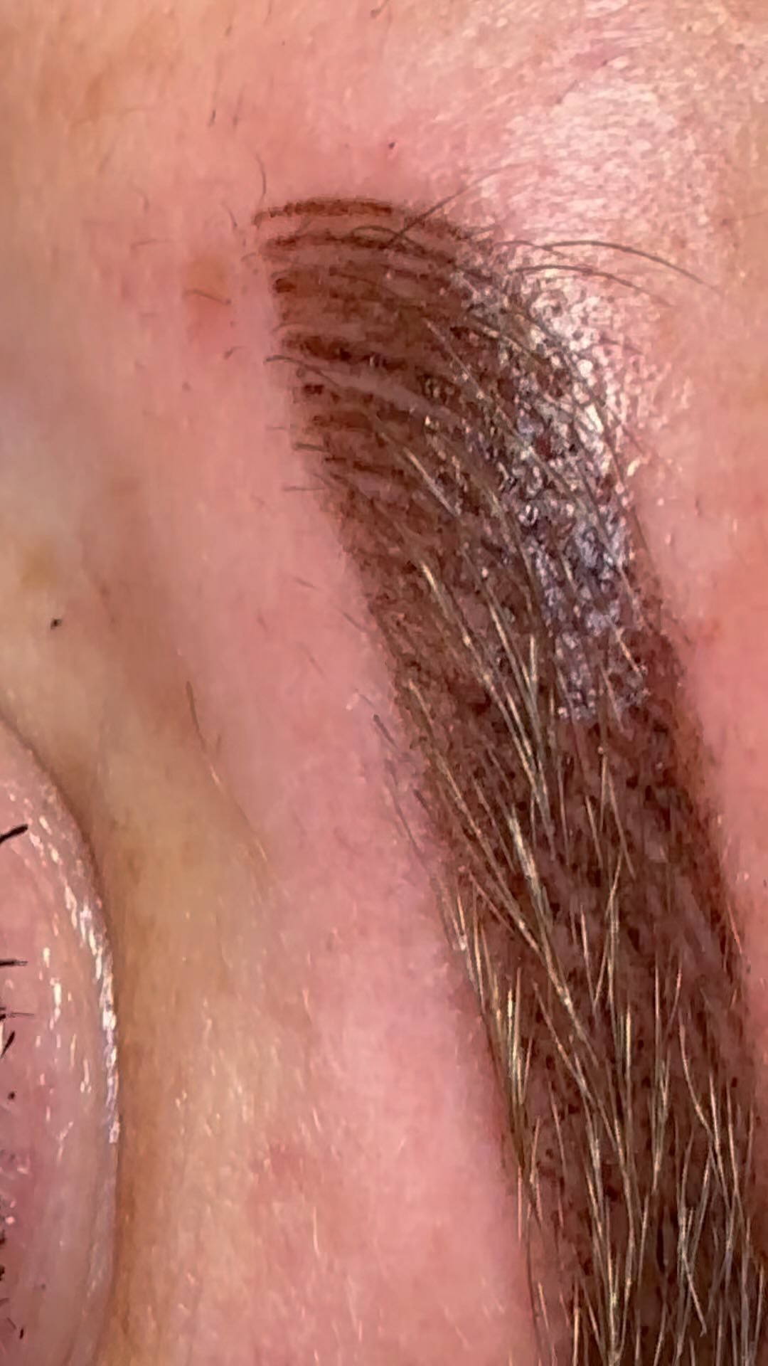 Combo brows! 🫶🧡 
€275,-