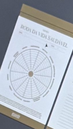 baixe sua RODA DA VIDA SAUDÁVEL | ferramenta grátis thumbnail