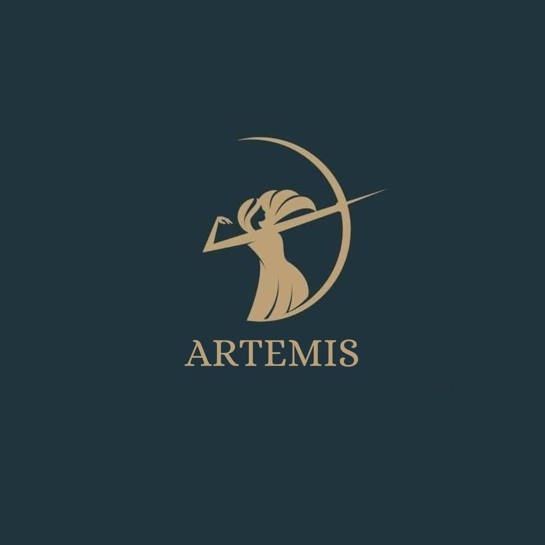 Sobre Artemis thumbnail