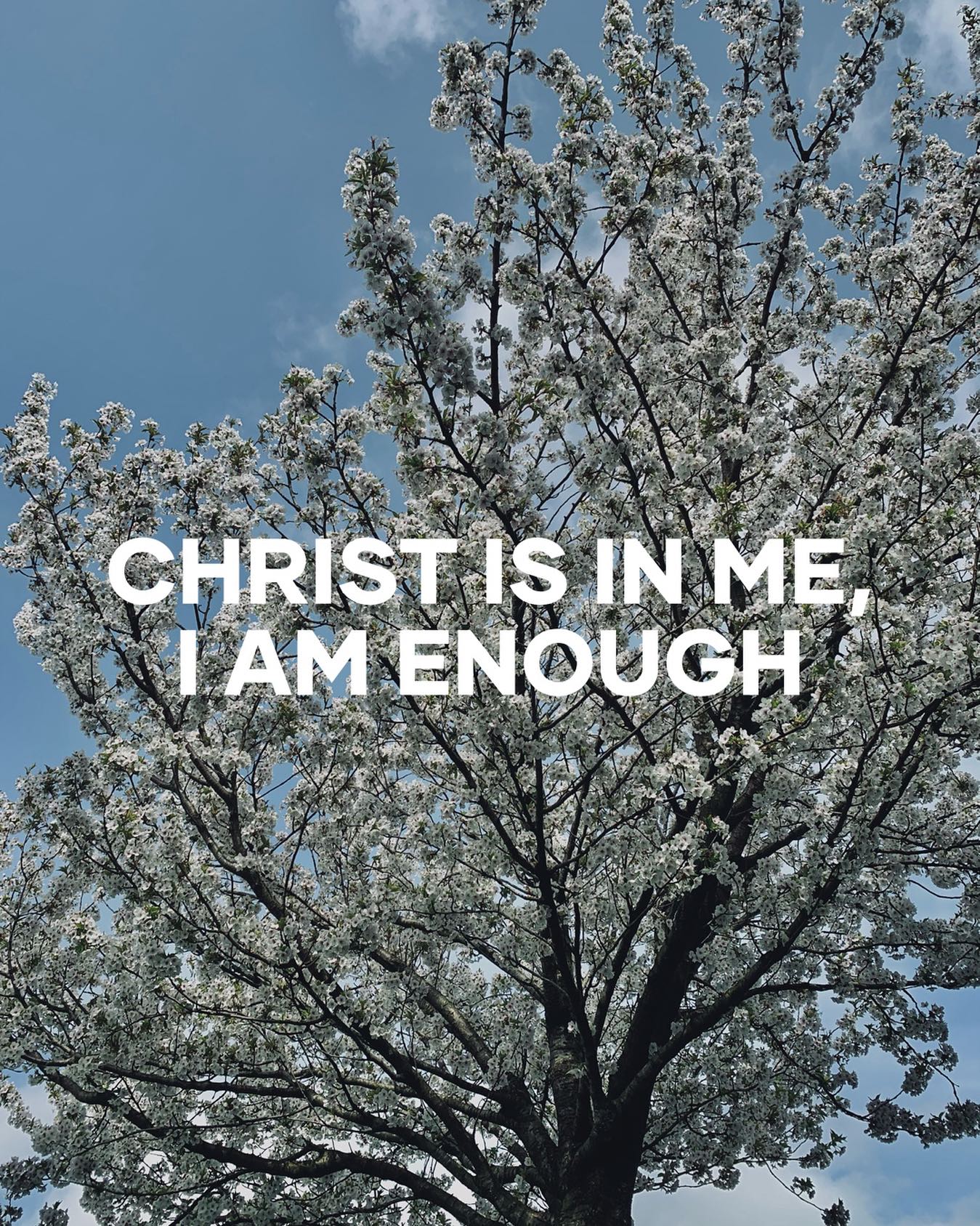 Christ is in me, I am Enough
_____________________________________________

John 15: I am the True Vine

"Abide in me, a