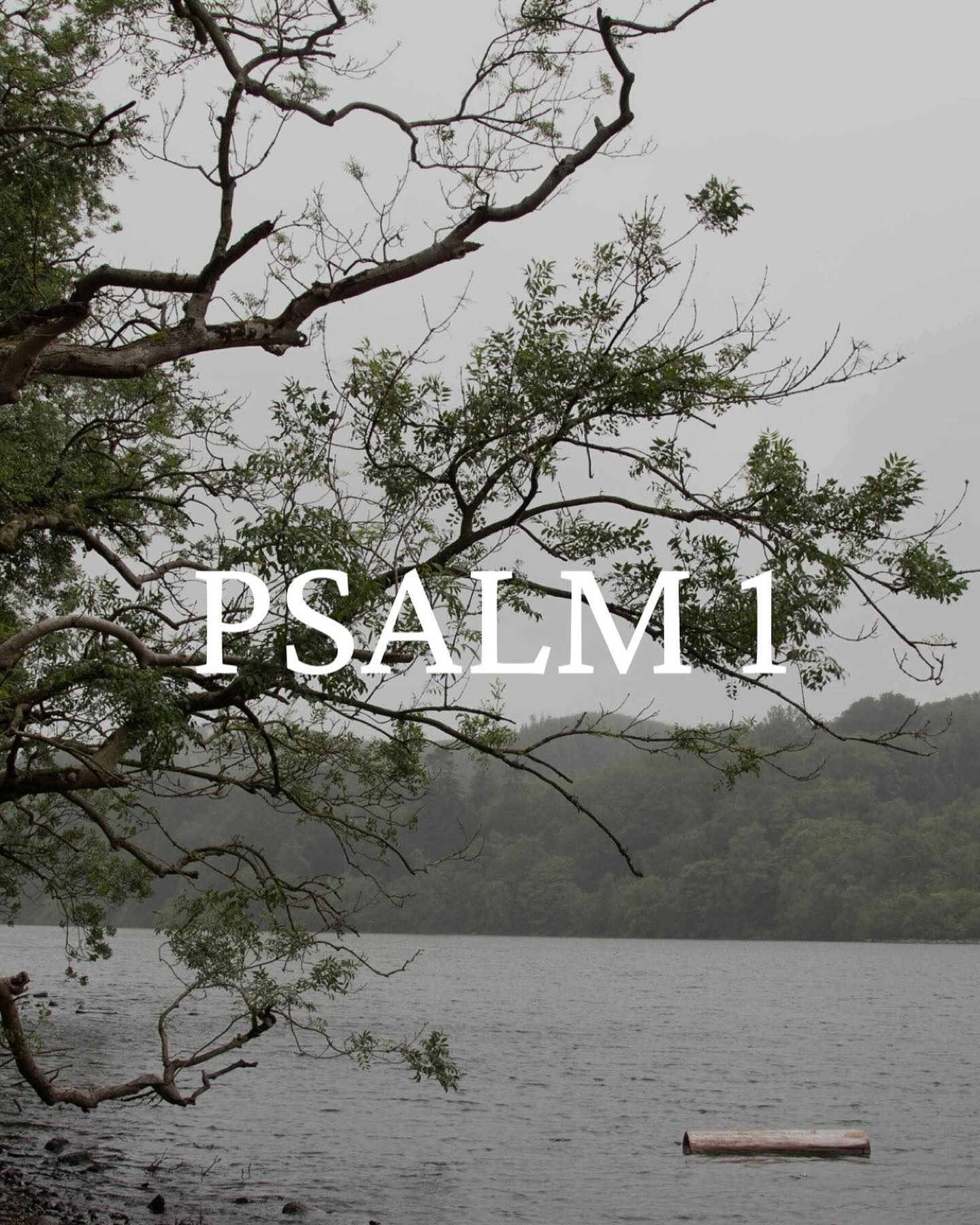 “He is like a tree planted by streams of water that yields it’s fruit in it’s season, and it’s leaf does not either. In 
