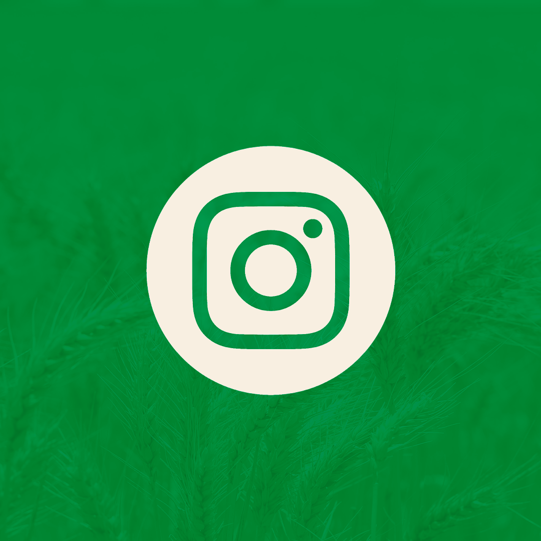 Acompañanos activamente en Instagram ➡️ thumbnail