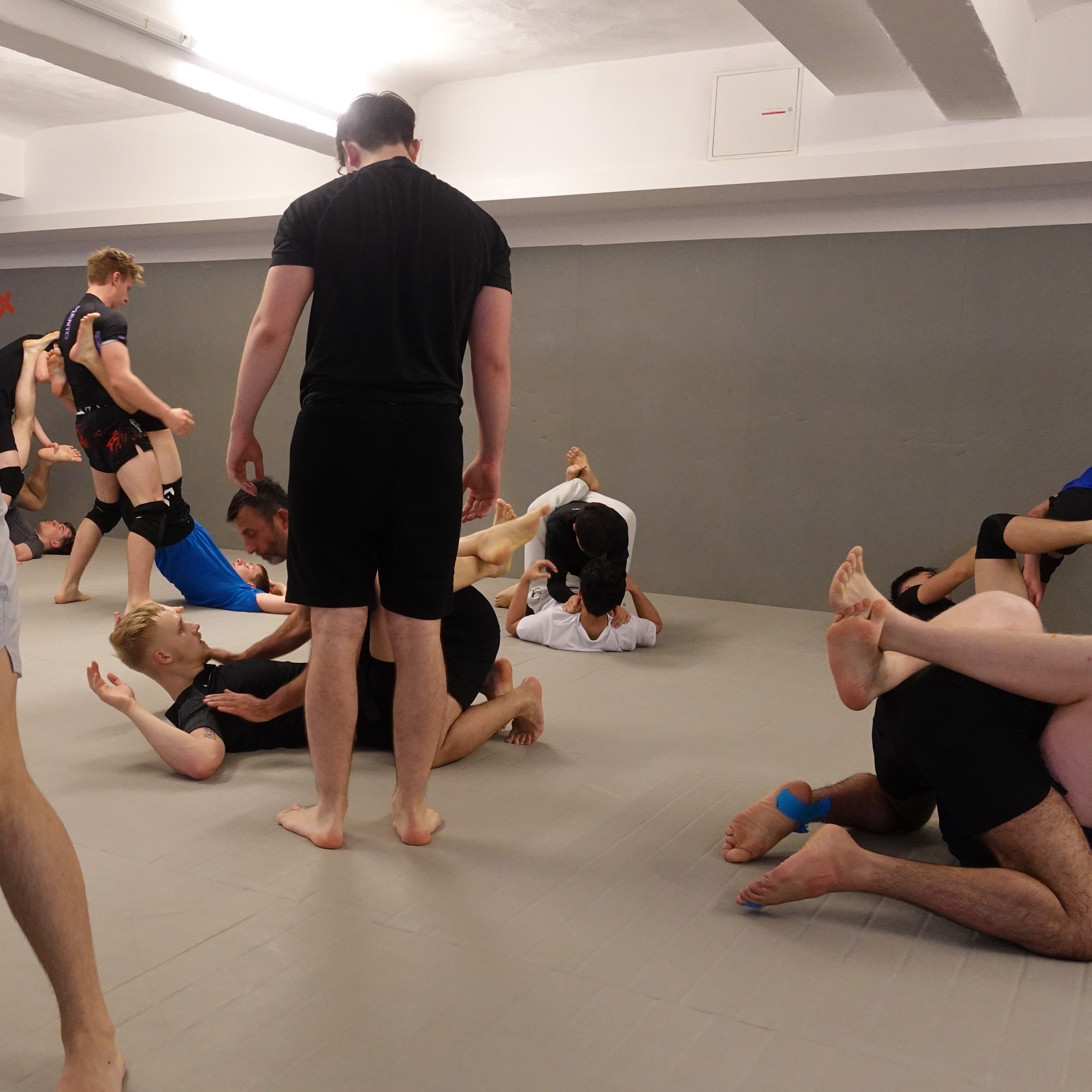 Probetraining vereinbaren thumbnail