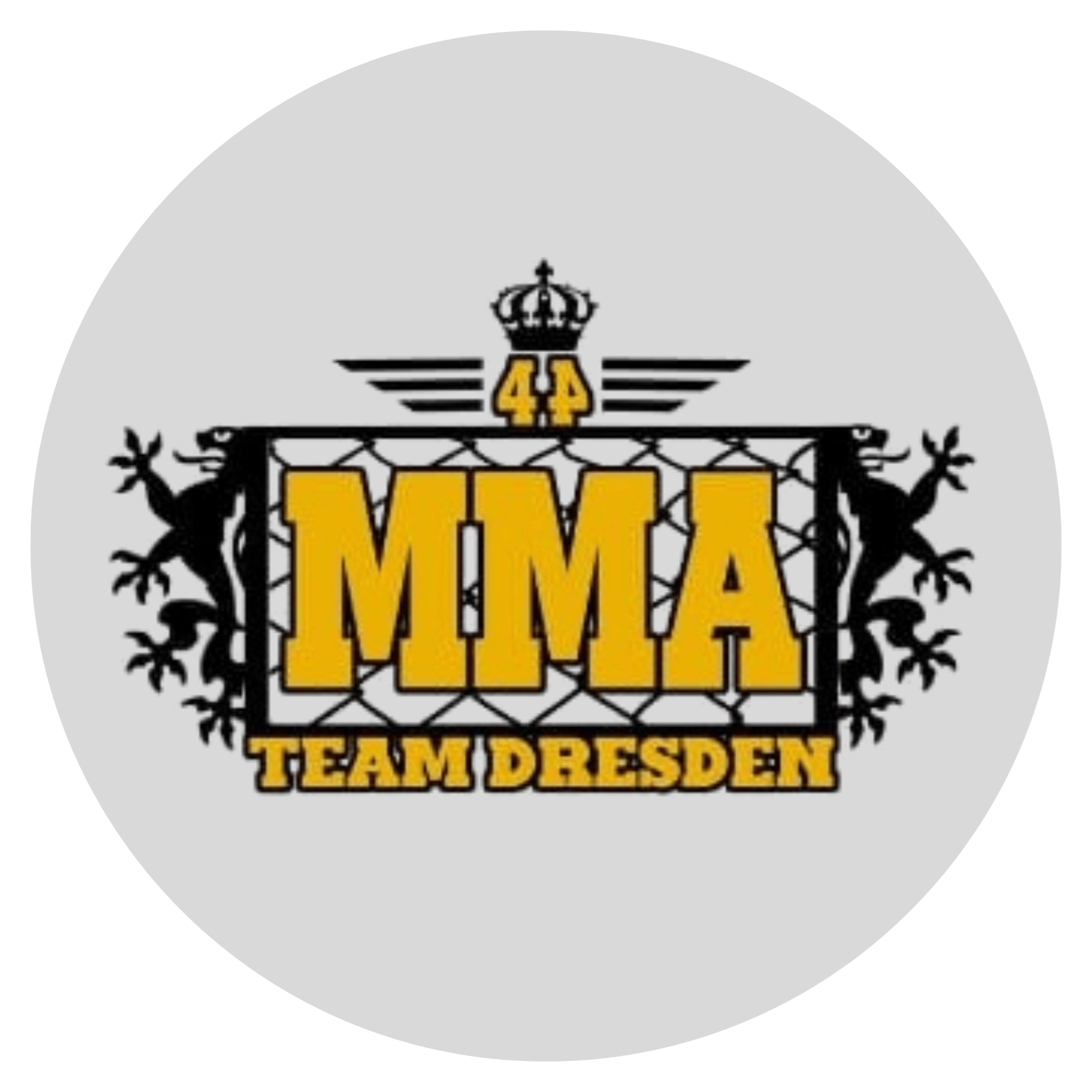 MMA Dresden | Take Down e.V thumbnail