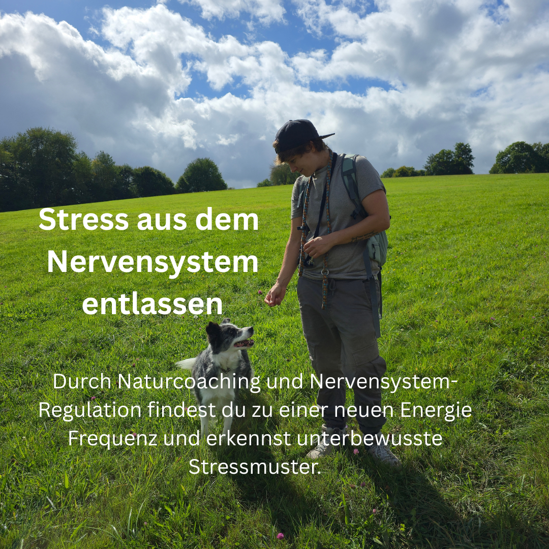 Co-Regulation | "3 Schritte Coaching" thumbnail