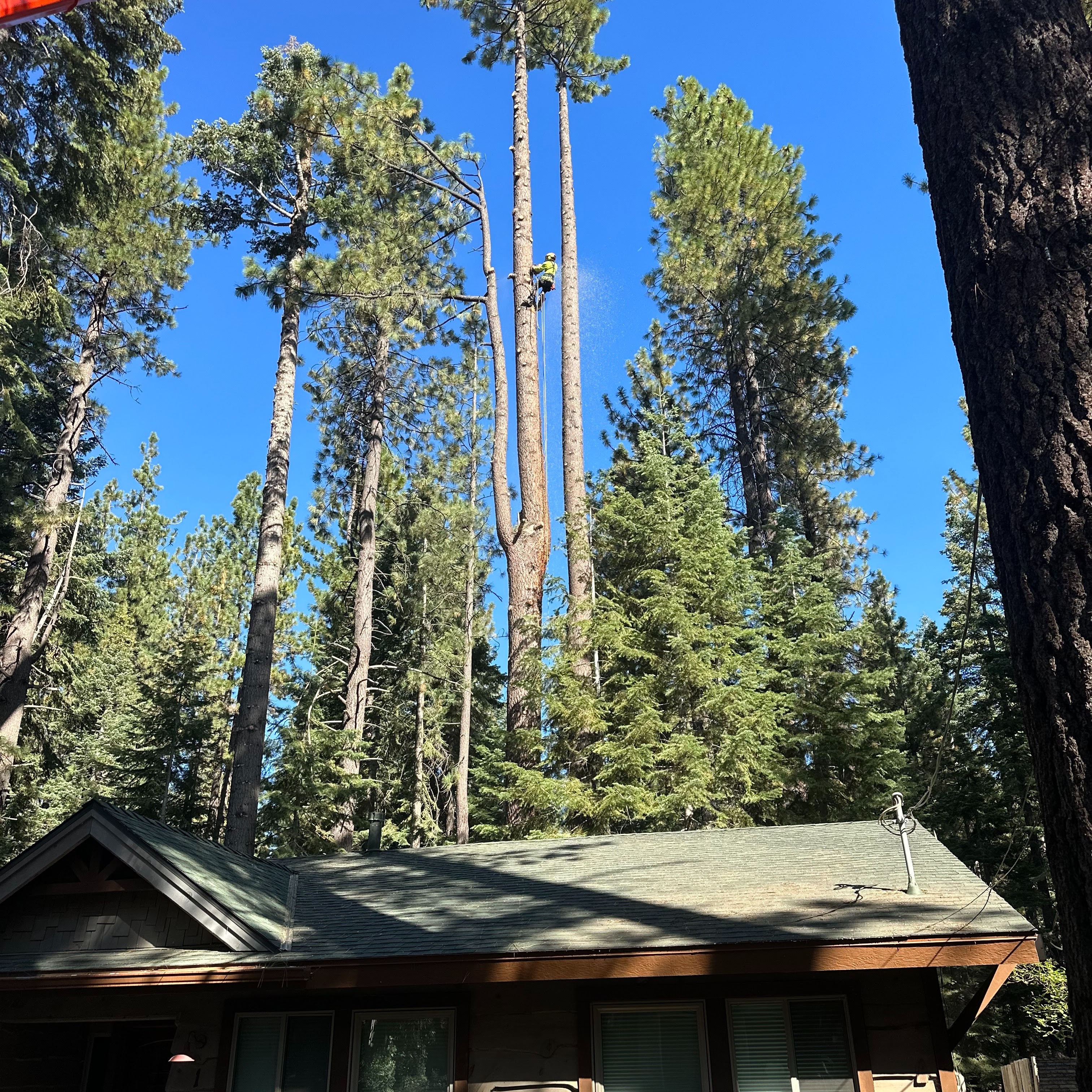 Emerald Bay State Park to Codys Tree Service thumbnail