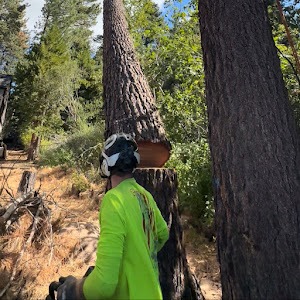 Lake Tahoe Balloons to Codys Tree Service thumbnail