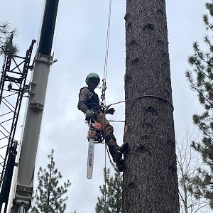 Van Sickle Bi-State Park to Codys Tree Service thumbnail