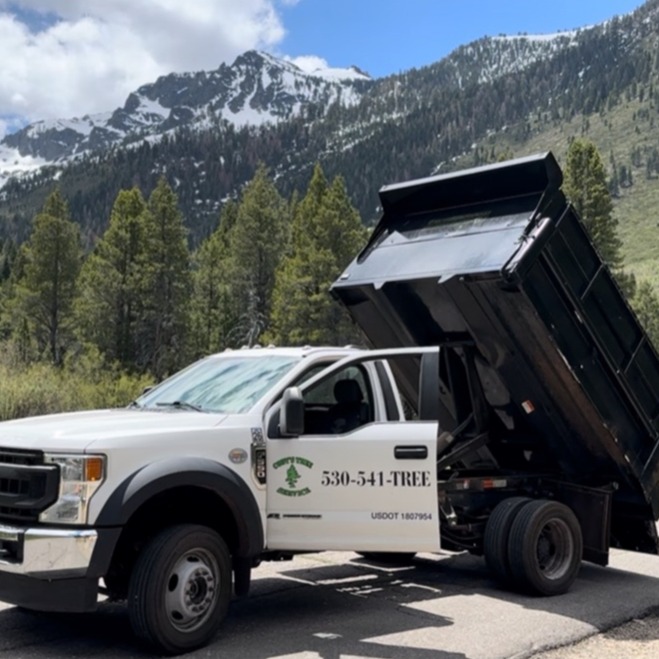Heavenly Mountain Resort to Codys Tree Service thumbnail