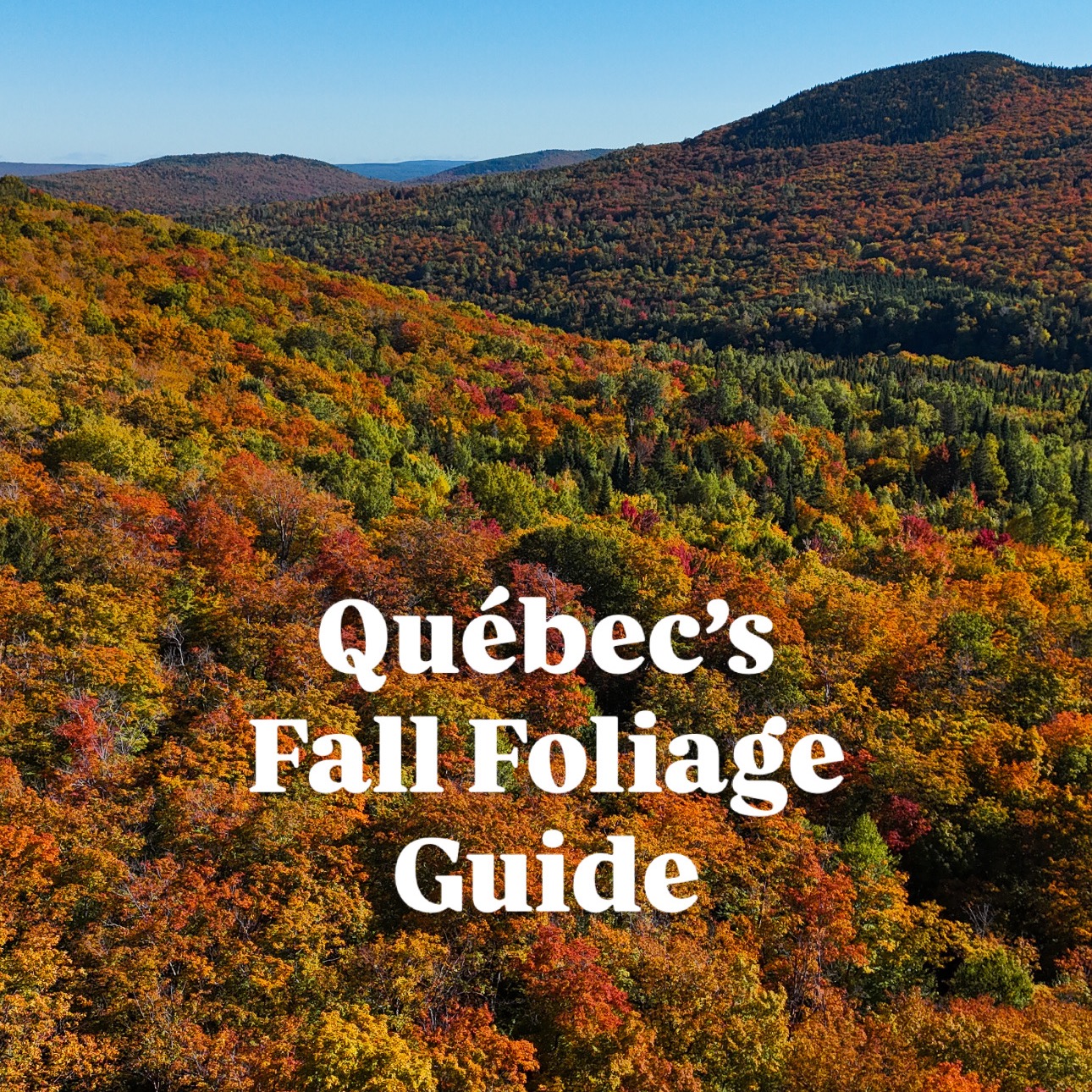 Québec’s Fall Foliage Guide 🍂🍁 thumbnail