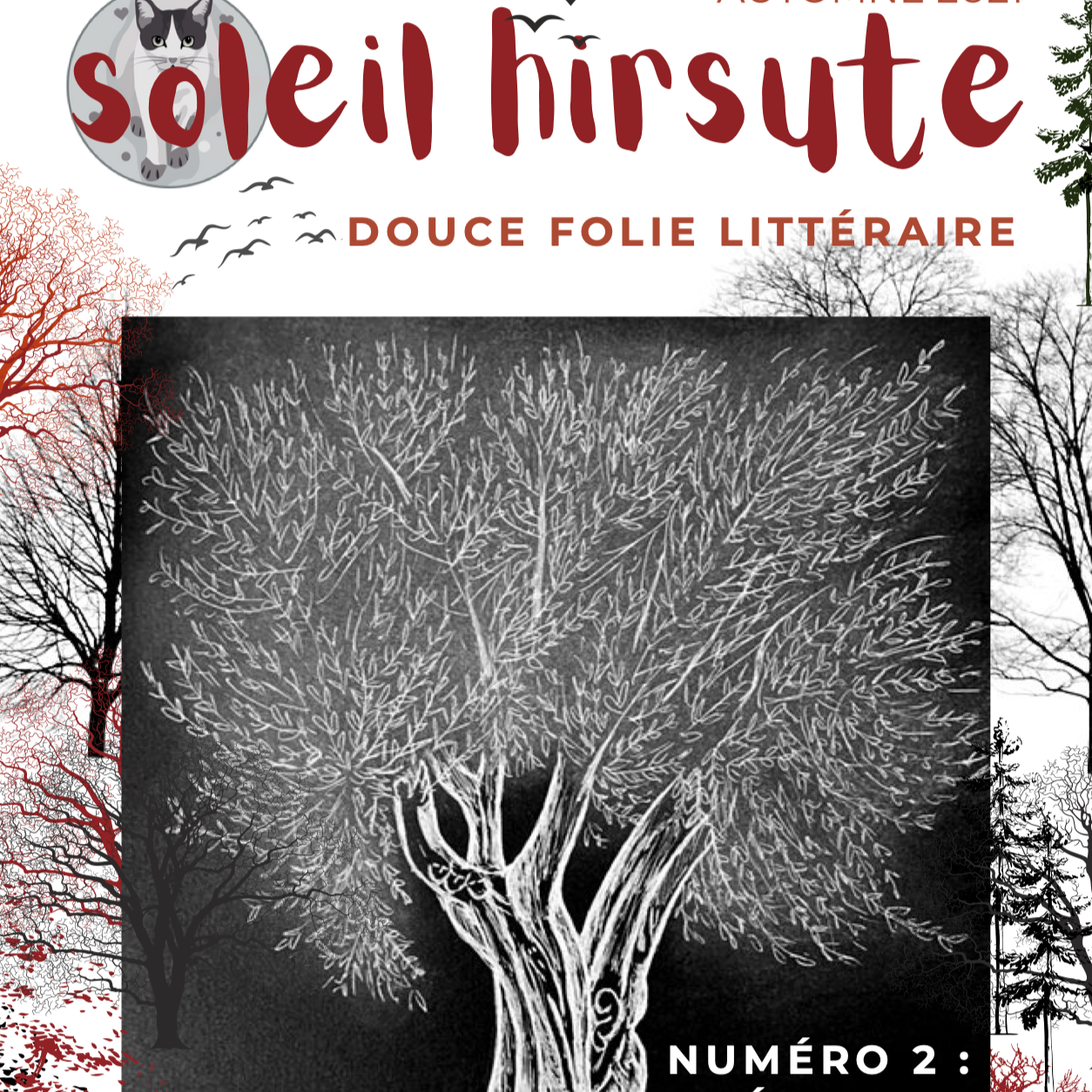 Nouvelle publiée par Soleil Hirsute : Serais-je heureuse ?  thumbnail