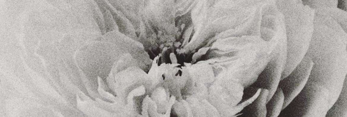 [ MOONLIGHT MUSE ] A 3-week journey to turn ‘who am I?’ into ‘this is how I show up.’ Begin your transformation here.  thumbnail