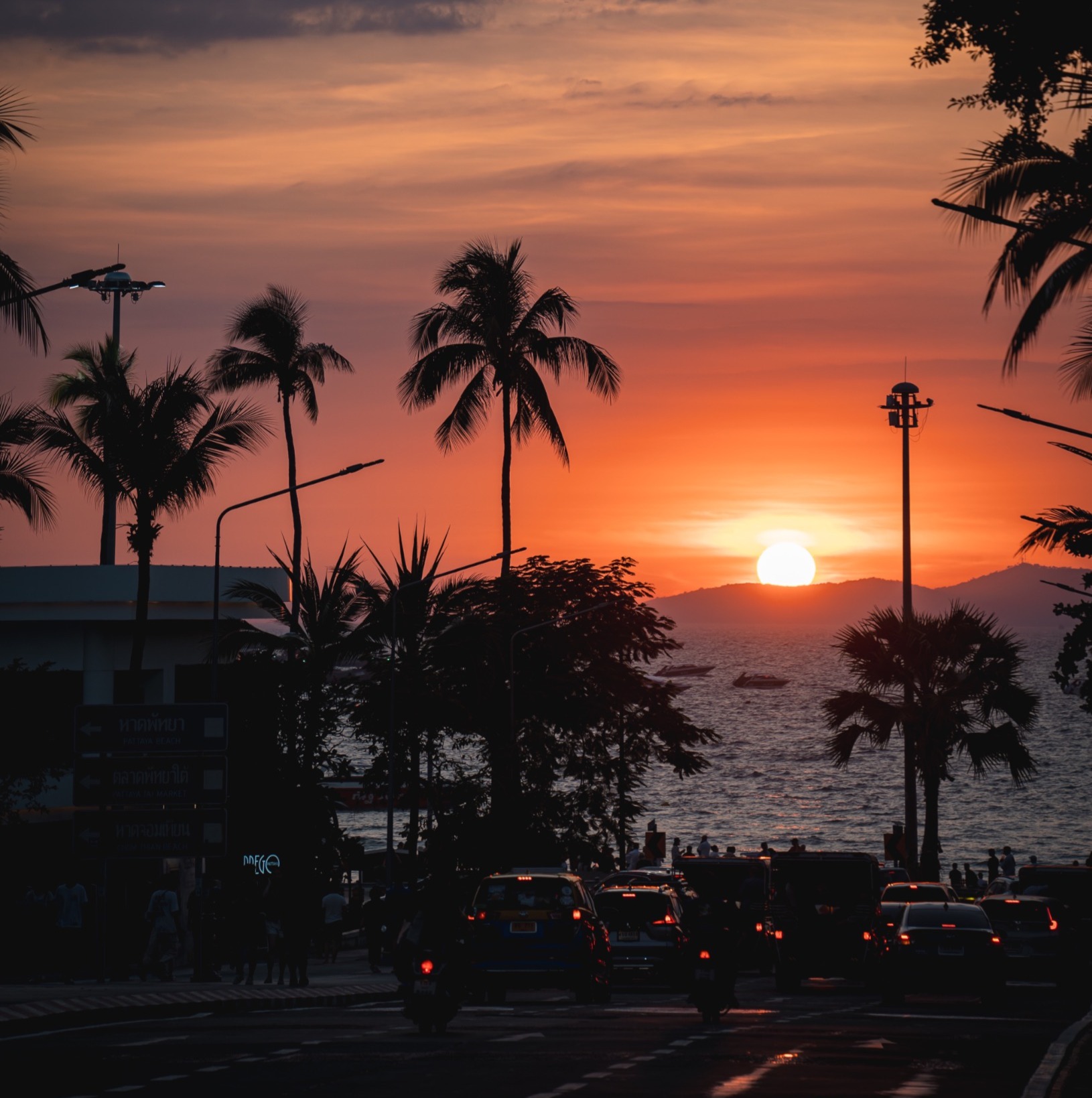 堤雅 🌴 thumbnail