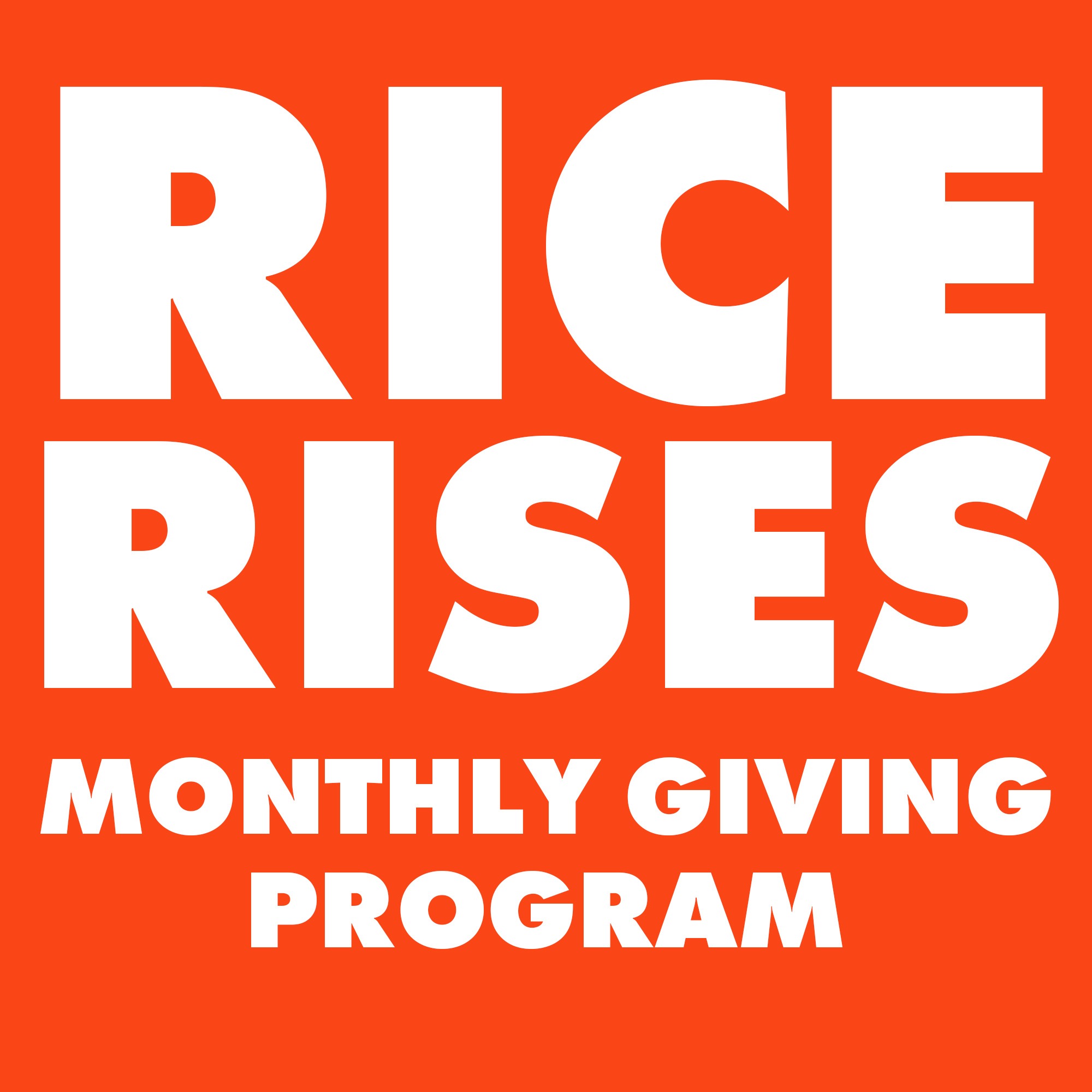 RICE RISES thumbnail