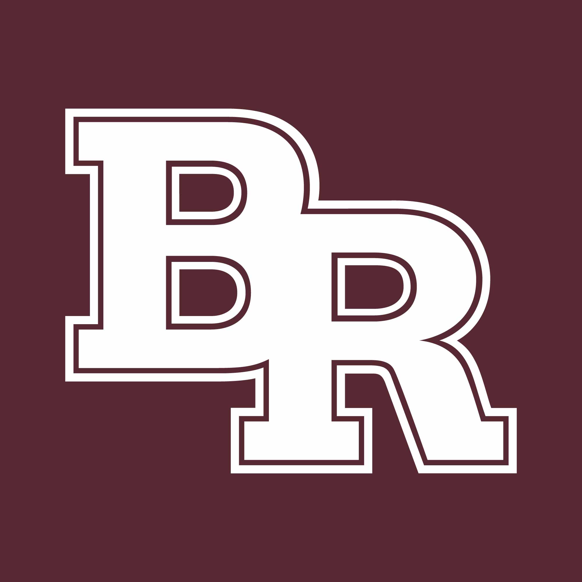 BrotherRice.org thumbnail