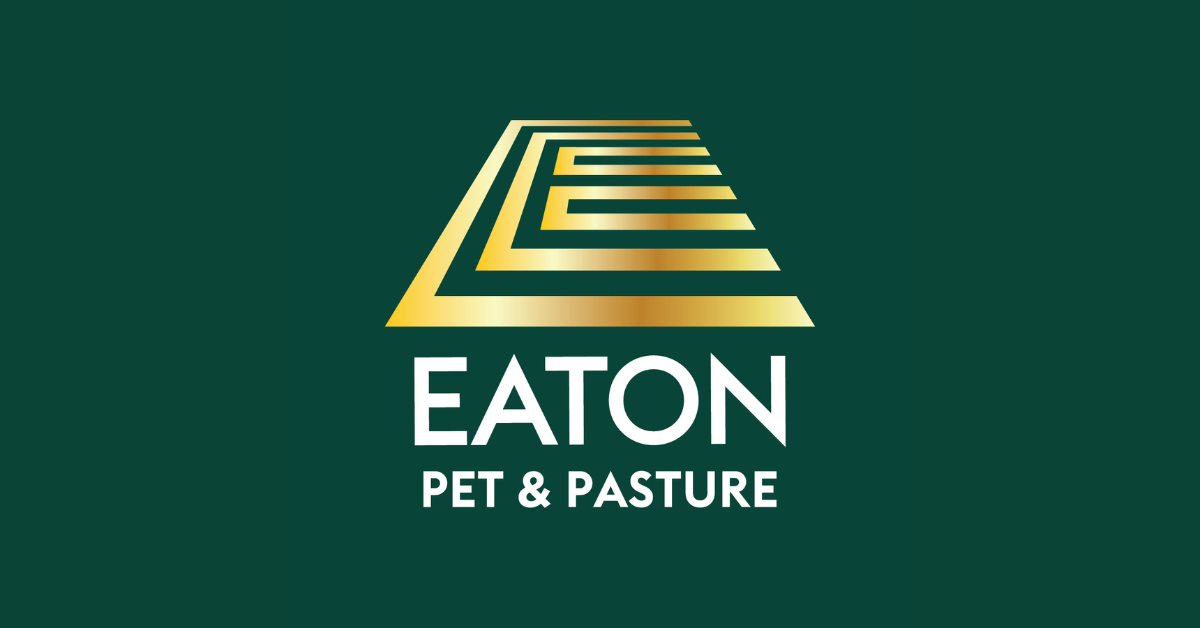 Code: BOURNTOCREATE thumbnail