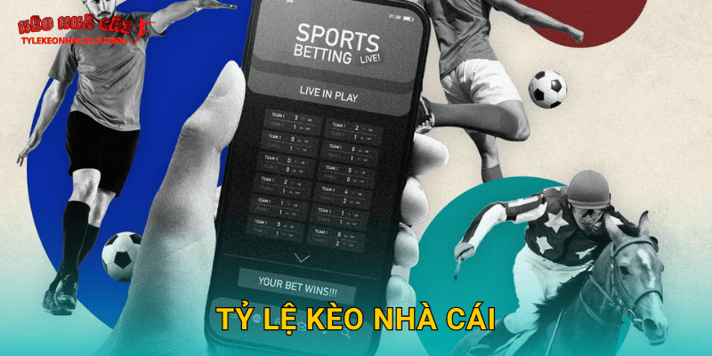 tylekeonhacai thumbnail