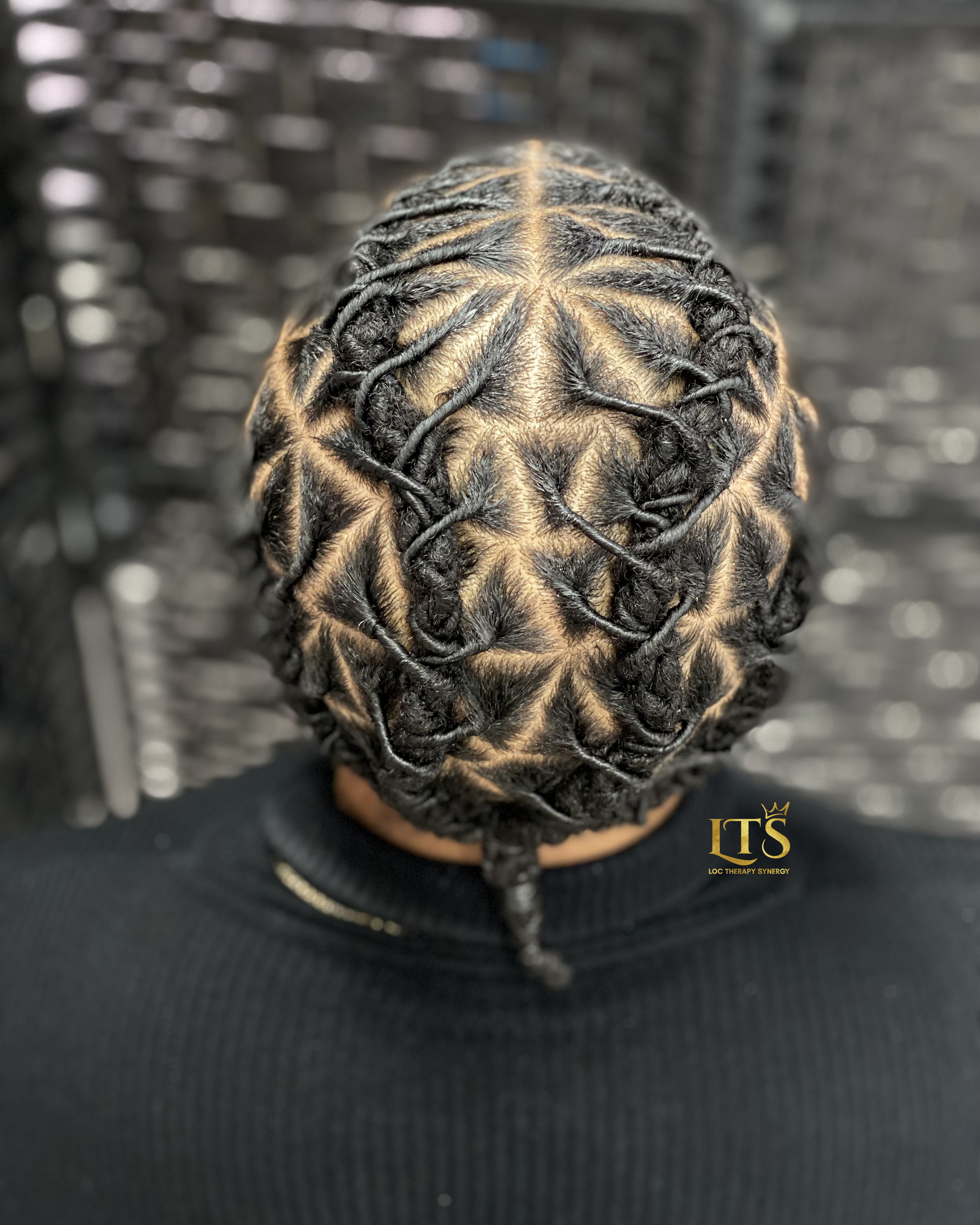 Starter Locs  thumbnail