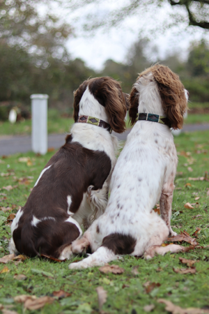 Product/Photography Example thumbnail