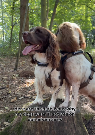 Reel | Voiceover/Captions Example thumbnail