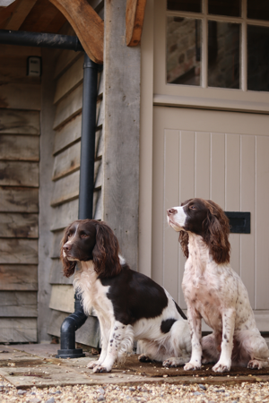 PR Stay | Example thumbnail