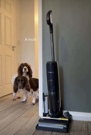 Reel | Voiceover/Captions Example thumbnail