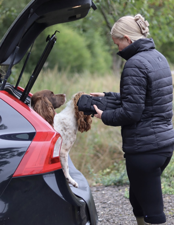 Model/Photography Example thumbnail