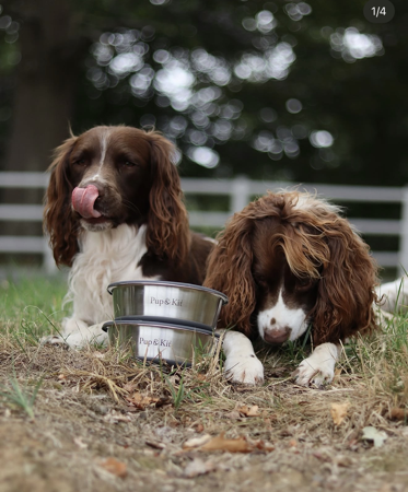 Product/Photography Example  thumbnail