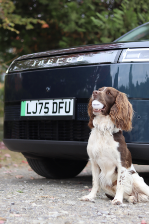 On Site | Example  thumbnail