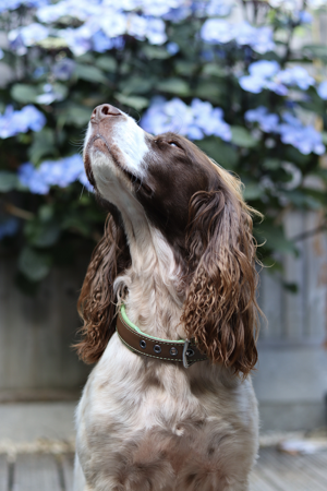 Reel | Captions Example thumbnail