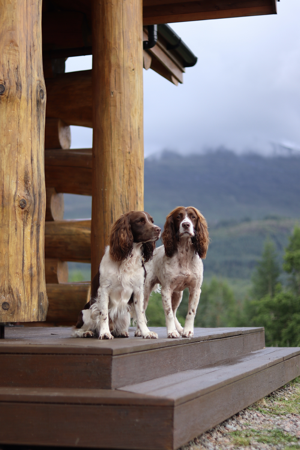 PR Stay | Example thumbnail