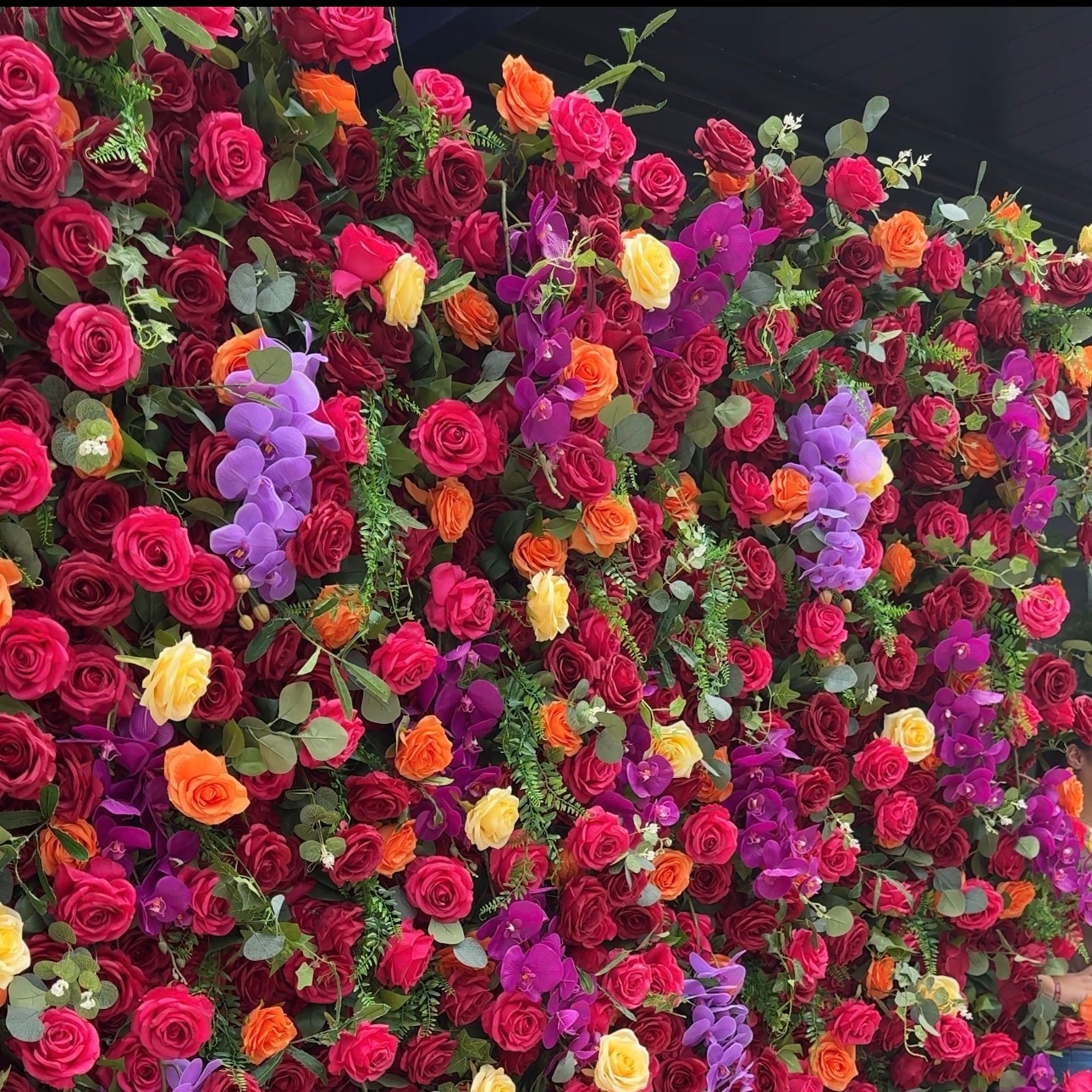 Bright & Bold thumbnail