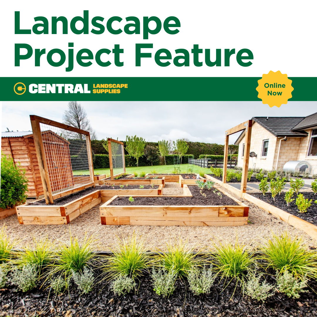 PROJECT FEATURE: A Tamahere Transformation by Groundcover Landscaping thumbnail