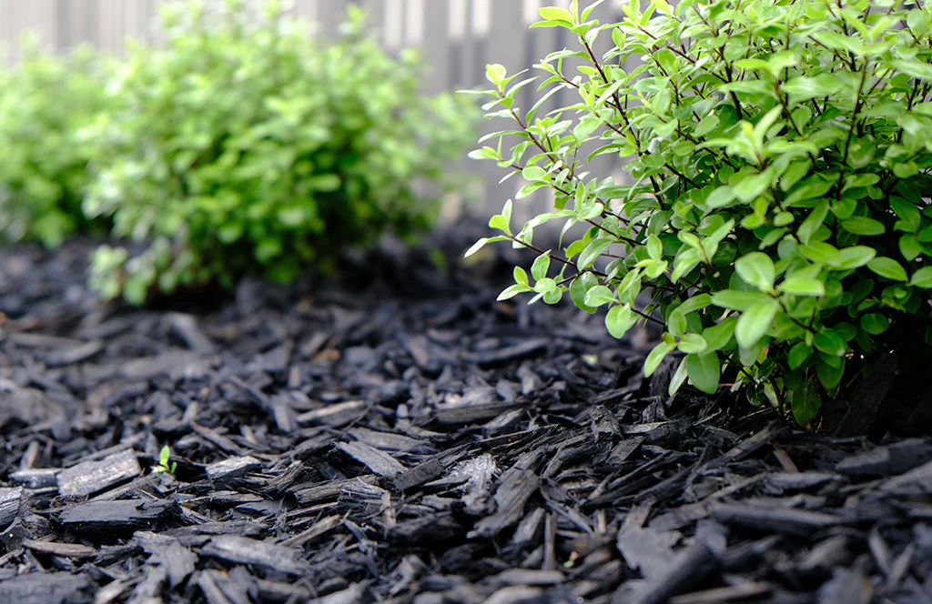 Bark & Mulch thumbnail