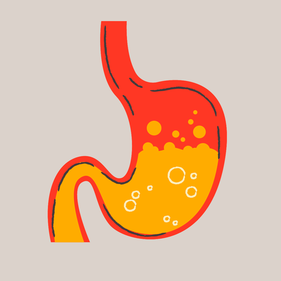 The Importance of Making Stomach Acid and Monitoring Health with Hair Tissue Mineral Analysis thumbnail