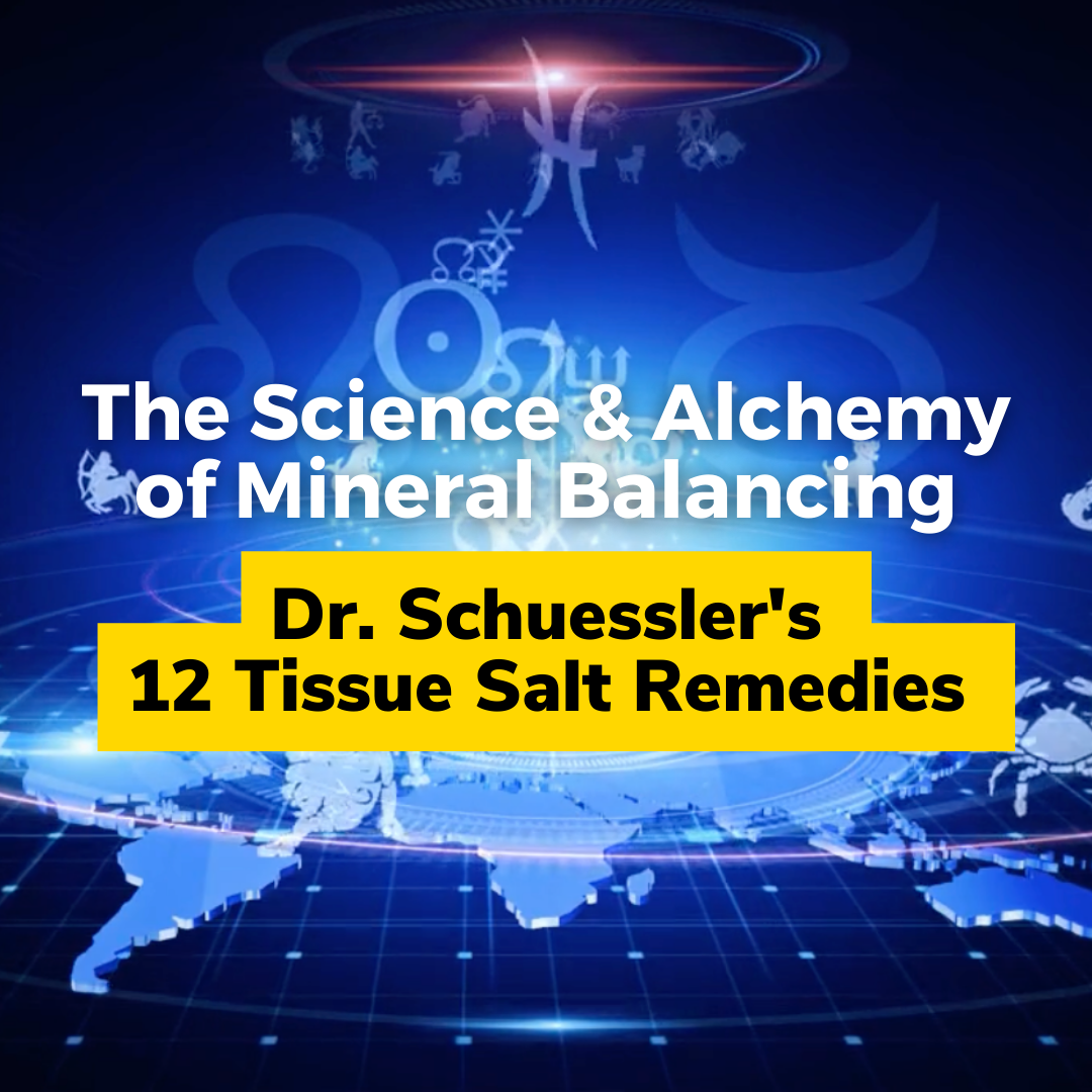 Dr. Schuessler's 12 Tissue Salt Remedies - The Science & Alchemy of Mineral Balancing thumbnail