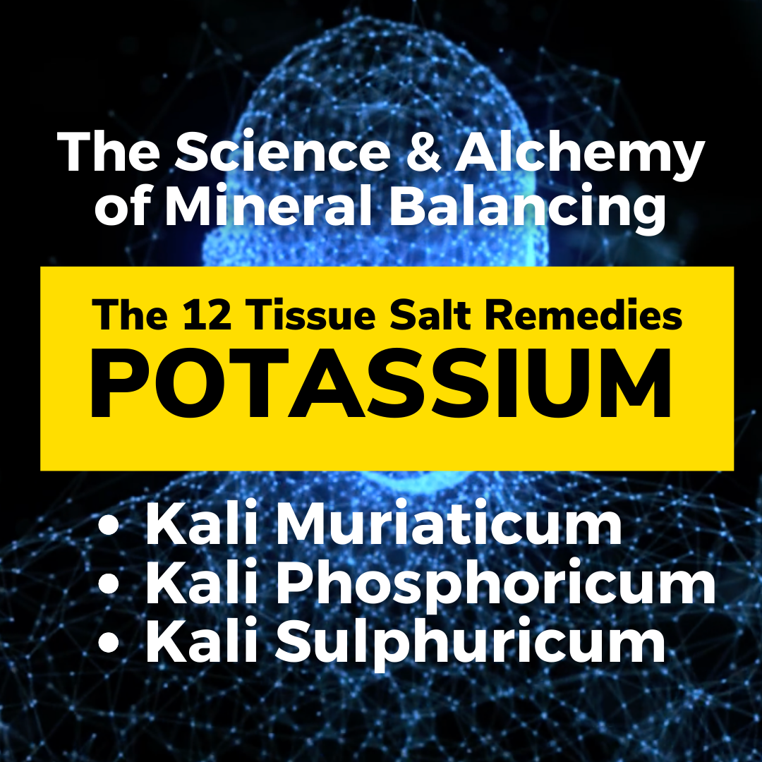 The 12 Tissue Salt Remedies: Kali Muriaticum, Kali Phosphoricum, and Kali Sulphuricum thumbnail