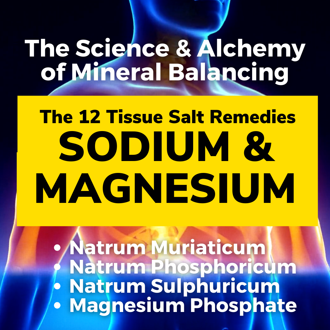 The 12 Tissue Salts: Natrum Muriaticum, Natrum Phosphoricum, Natrum Sulphuricum, Magnesium Phosphate thumbnail