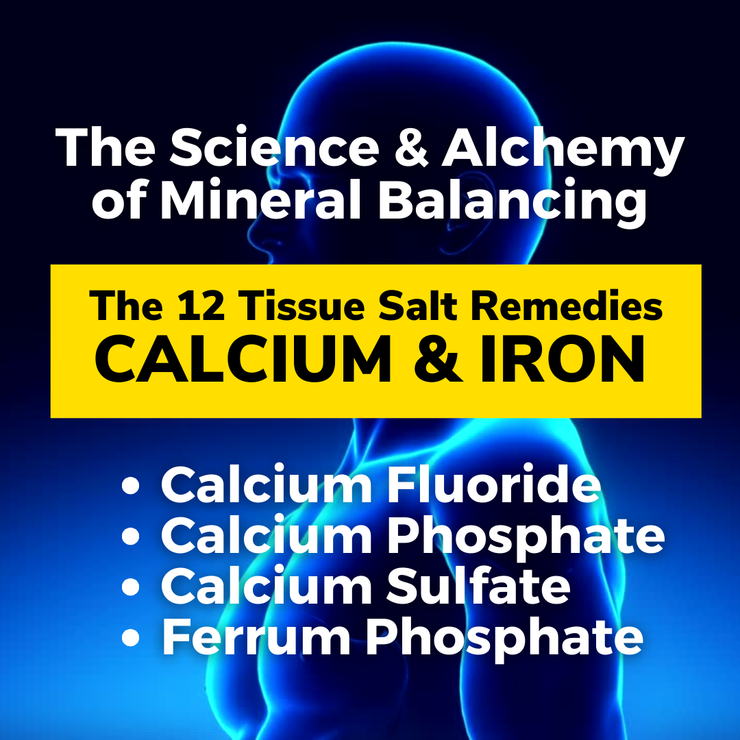 The 12 Tissue Salt Remedies: Calcium Fluoride, Calcium Phosphate, Calcium Sulfate, Ferrum Phosphate thumbnail