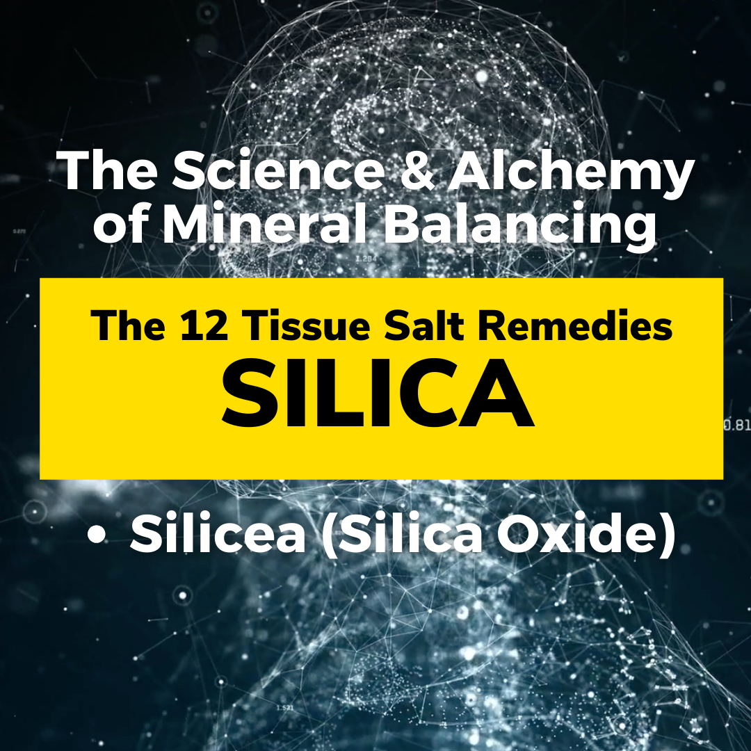 The 12 Tissue Salt Remedies - Silicea (Silica Oxide) thumbnail