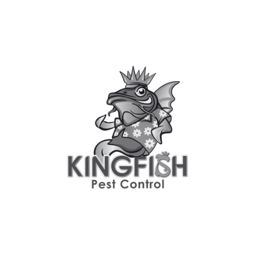 KingFish | Pest Control thumbnail