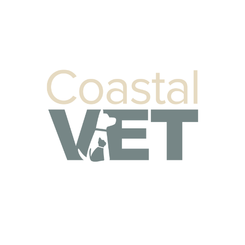 Coastal Vet & Resort thumbnail